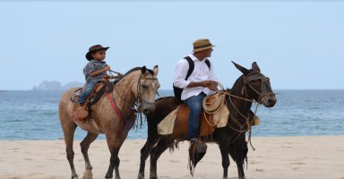 Things To Do https://vacationrentalsoftamarindo.icnd-cdn.com/images/thingstodo/Screen Shot 2017-11-23 at 1.11.02 PM.jpg